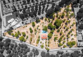 Farmhouse Montemor-o-Novo Lavre