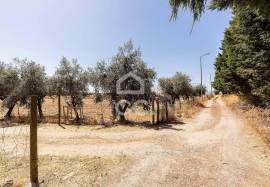 Farmhouse Évora Horta das Figueiras