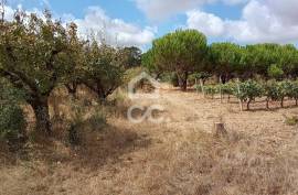 Land Bombarral Roliça