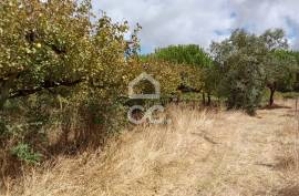 Land Bombarral Roliça