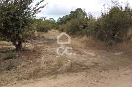 Land Bombarral Roliça