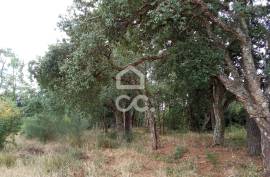 Land Bombarral Roliça