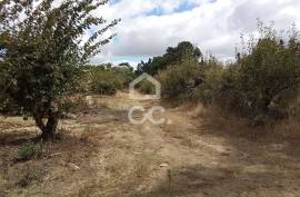 Land Bombarral Roliça