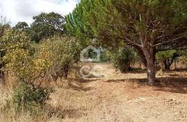 Land Bombarral Roliça