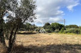 Land in zone H2 with feasibility of construction 6 km from the City Center