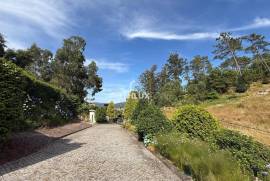 5 bedroom villa with spectacular garden in Esposende