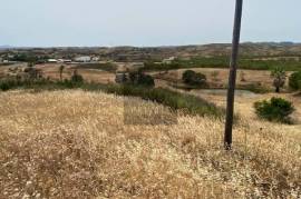 Hill Top Ruin with Land
