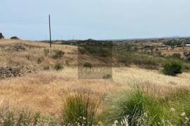 Hill Top Ruin with Land