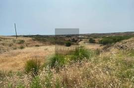 Hill Top Ruin with Land