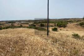 Hill Top Ruin with Land