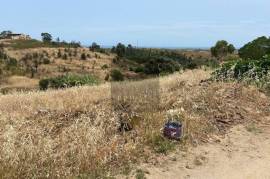 Hill Top Ruin with Land
