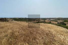 Hill Top Ruin with Land