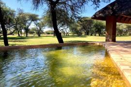 Estate Of Lodges For Sale in Mziki Private Nature Reserve in South