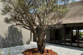 Estate Of Lodges For Sale in Mziki Private Nature Reserve in South