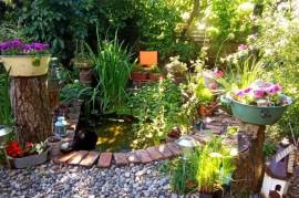 Excellent 6 Bed House For Sale In Avesnelles Nord