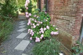 Excellent 6 Bed House For Sale In Avesnelles Nord