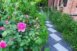 Excellent 6 Bed House For Sale In Avesnelles Nord