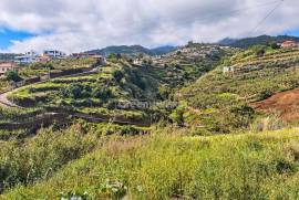 Building plot in quiet and sunny area Building plot in quiet and sunny area