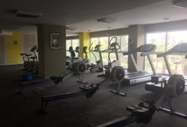 Large commercial premises of 1,400 m² in front of the University of Elche – Ideal investment!