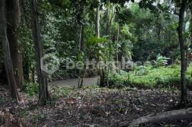 345 Sqm Land Riverside Land with Jungle Views in Tumbak Bayuh