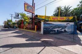sn Juarez, Giggly Dolphin & Dolphin Cente, Loreto,