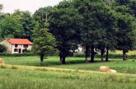Traditional House with Gite for Sale - Bussiere-Poitevine - 87