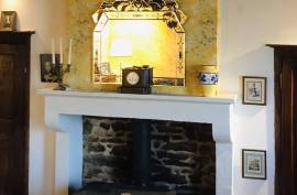 Traditional House with Gite for Sale - Bussiere-Poitevine - 87