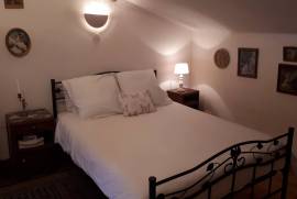 Traditional House with Gite for Sale - Bussiere-Poitevine - 87
