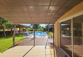 Beautiful Single Storey Villa with Swimming Pool