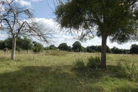 Countryside Barn to Develop, Huge Potential