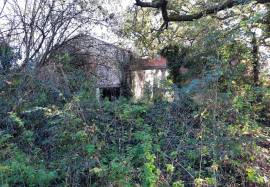 Huge Countryside Barn to Renovate