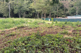 Sauco Lot #2: A Rare Opportunity to Build Your Dream Home in Reserva Conchal!