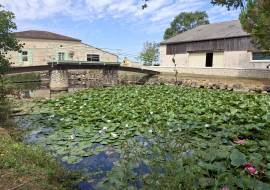5 Bedrooms - House - Aquitaine - For Sale - 11933-Vi
