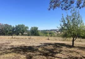 Entre Monpazier et Villereal: Jolie maison de plain-pied de 160m2 avec parc d\'un hectare
