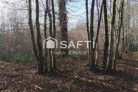 forêt à vendre
