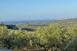 1798218 - Land plot For sale, Platanias, 6.800 sq.m., €170.000