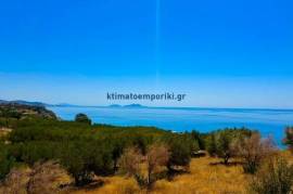 1807399 - Land plot For sale, Lampi, 4.800 sq.m., €550.000