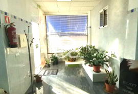 Commercial property Beja Parque da Cidade