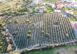 Land of 22000 m² for development  into 51 lotes - all 3 bedroom villas, near Faro - Estoi. Land of 22000 m² for development  into 51 lotes - all 3 bedroom villas, near Faro - Estoi.