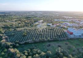 Land of 22000 m² for development  into 51 lotes - all 3 bedroom villas, near Faro - Estoi. Land of 22000 m² for development  into 51 lotes - all 3 bedroom villas, near Faro - Estoi.
