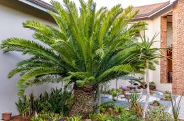 Luxury Estate With 2 Homes For Sale in Hluhluwe Kwa-Zulu Natal South