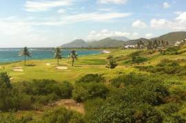 1 Bedroom Villa Unit For Sale In Imperial Bay Residences Saint