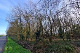 Land for sale - 10 550 m2 - LA CROIX HELLEAN - (56120)