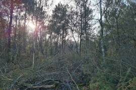 Land for sale - 10 550 m2 - LA CROIX HELLEAN - (56120)