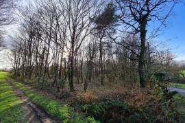 Land for sale - 10 550 m2 - LA CROIX HELLEAN - (56120)