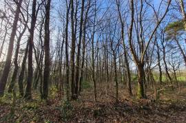 Land for sale - 10 550 m2 - LA CROIX HELLEAN - (56120)