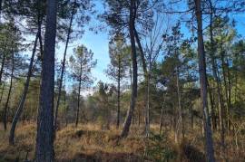 Land for sale - 10 550 m2 - LA CROIX HELLEAN - (56120)
