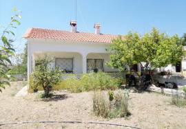 ✨ Unique Opportunity in Loulé – Two Houses on a 10,000 m² Plot