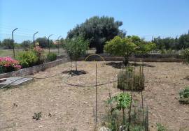 ✨ Unique Opportunity in Loulé – Two Houses on a 10,000 m² Plot