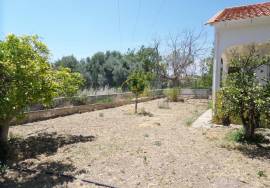 ✨ Unique Opportunity in Loulé – Two Houses on a 10,000 m² Plot